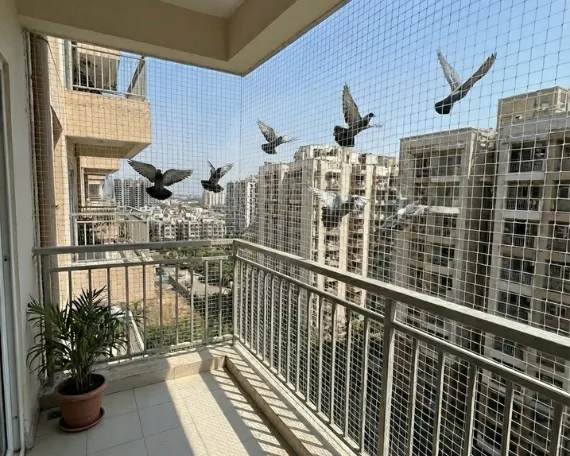 Pigeon Safety Nets Expert Bangalore